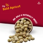 chewy-big-bold-apricot